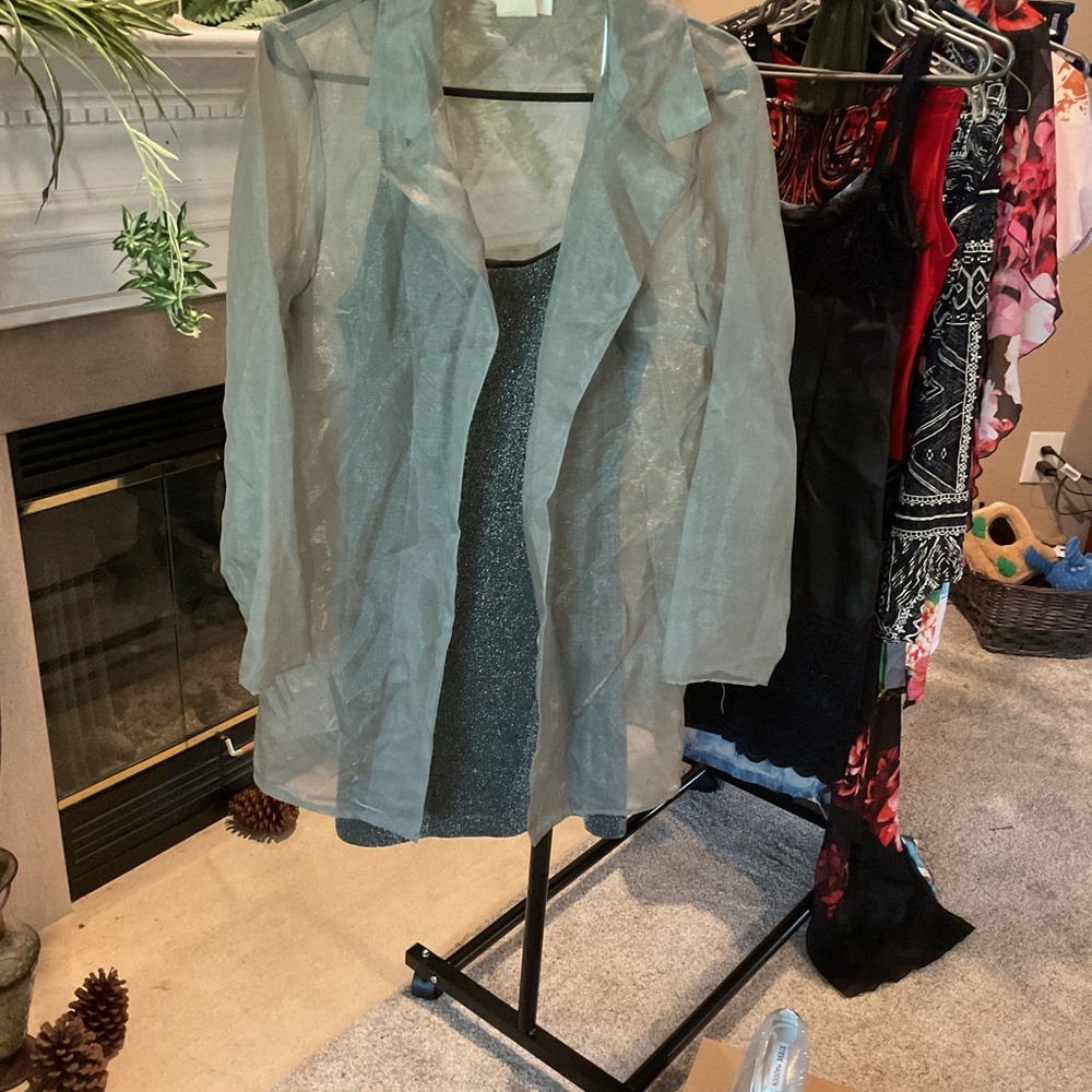 Silver shimmer dress with shear silver jacket